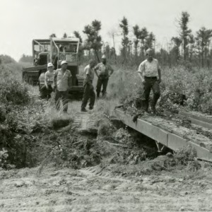 Work at Forestry Camp