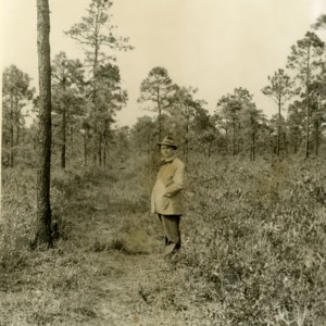 Man in Hofmann Forests