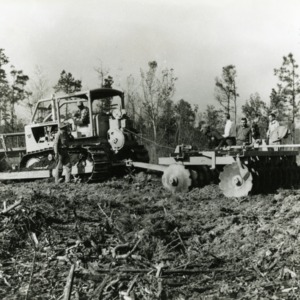 Clearing trees in Hofmann Forests