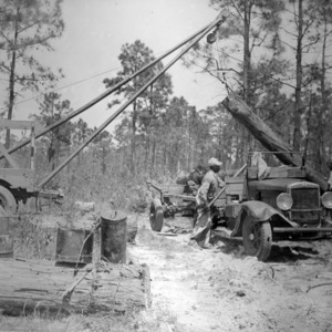 Black and white image of trees being cut down.