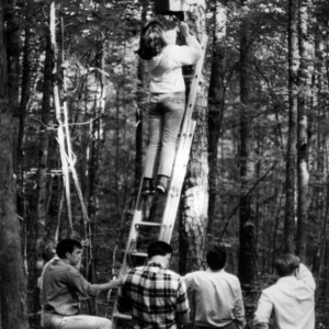 Forestry students examine tree