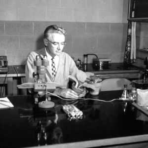 Dr. Charles J. Nusbaum at work in lab