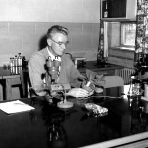 Dr. Charles J. Nusbaum at work in lab