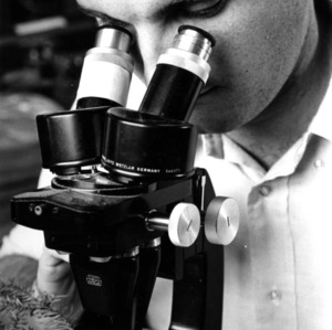 Student at microscope