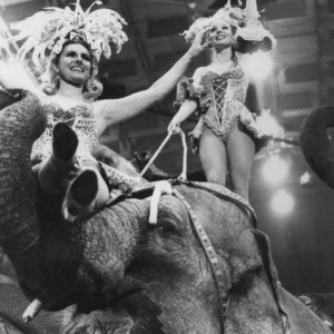 Elephant riders at Ringling Brothers and Barnum and Bailey Circus
