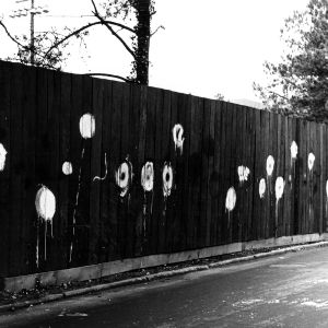 Flowers painting on fence