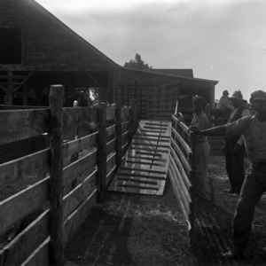 Temporary loading chute on farm