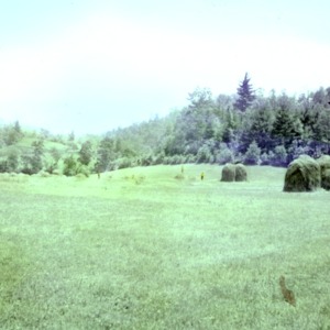 Field with haystacks
