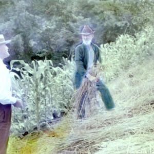 Two men in a field with bundles of hay