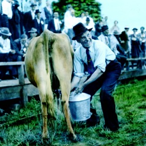 People in stands with man milking cow in front