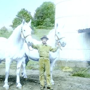 Good work stock - man with 2 horses