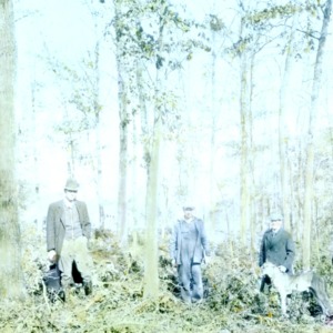Forest thinning - four men in a forest