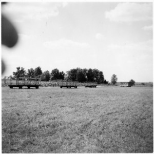 Hay drying, wagons.  MC Braswell Farm, Battleboro 1957