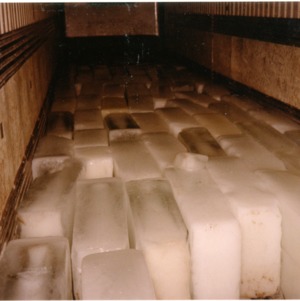Ice for shipping broccoli