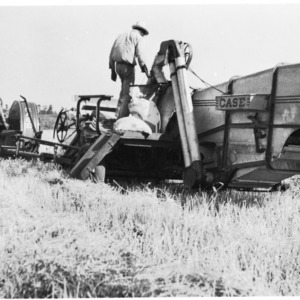 Case Tractor and Grain Harvester