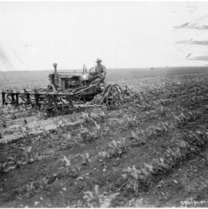 Internation Harvester Tractor with Cultivator