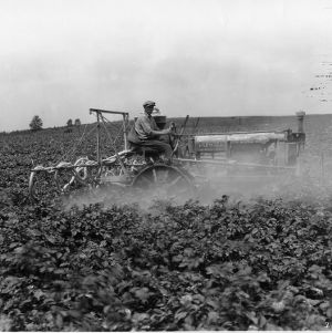 Farmall Tractor Powering Equipment in Potato Field