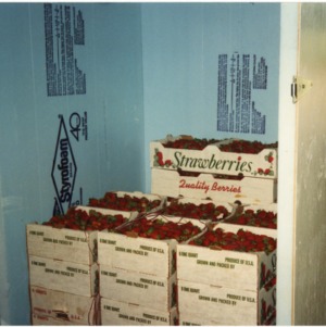 Strawberry cartons