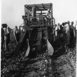 Men around agricultural machinery gathering cotton