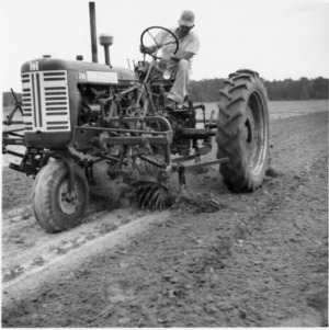 J. C. Ferguson with two-row cultivator in cotton field