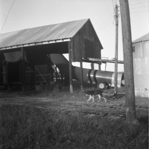 Dog in front of New Holland agricultural machinery and wagons