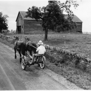 Man using horse-powered mower