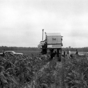 Tobacco Harvester