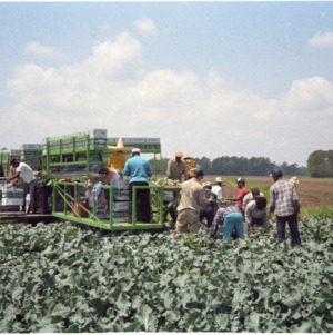 Crop Harvesting