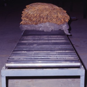 Designing a Loose Leaf Tobacco System, 1967