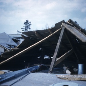 Snow Damage, 1958 - 1960