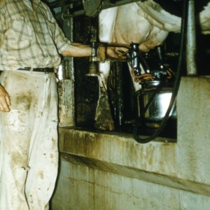 Farm Condition photographs, R.M. Ritchie, Jr., Agricultural Engineering Extension Agent, 1956