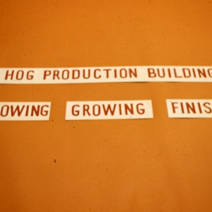 Hog Production Buildings, Set #1, Agricultural Engineering Extension