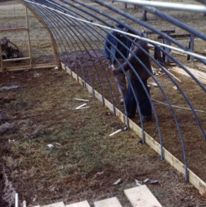 H.A. Jaitne, Greenhouses, 1962 - 1963