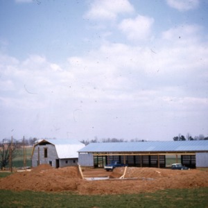 Dairy, Beef, 1953 - 1962