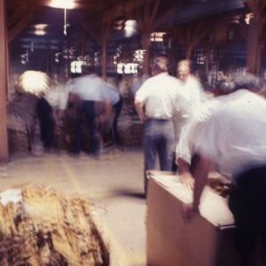 Packaging - Conventional Field Scenes, Tobacco: Packaging Auction, 1967
