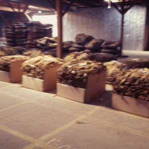 Packaging - Conventional Field Scenes, Tobacco: Packaging Auction, 1967