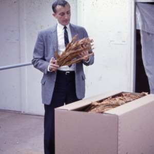 Packaging - Conventional Field Scenes, Tobacco: packaging, general, 1965-1972