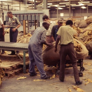 Packaging - Conventional Field Scenes: Tobacco Processors, Inc., Wilson, N.C., 1969, Aug. 12