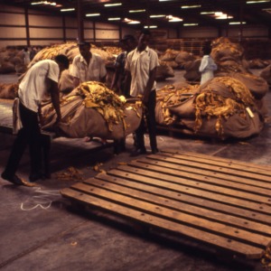 Packaging - Conventional Field Scenes: Tobacco Processors, Inc., Wilson, N.C., 1969, Aug. 12