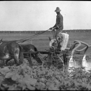 Horse pulled crop sprayer