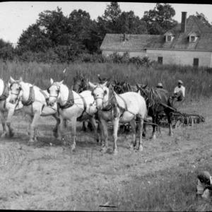 Team of Horses Pulling Farm Machinery