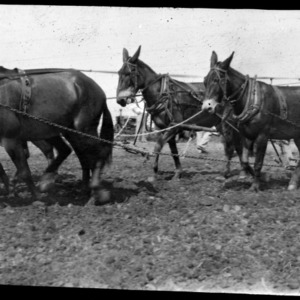 Horses pulling Farm Machinery