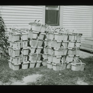 Baskets of peaches, circa 1910