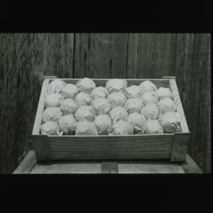 Pears in crate, circa 1910