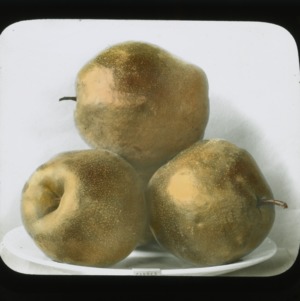 Garber pears, colorized, circa 1910