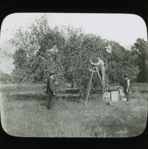 Men picking experimental apples, circa 1900