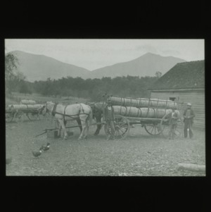 Fruit loaded on horse-drawn cart, circa 1910
