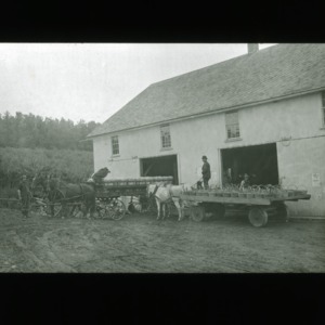 Men with fruit loaded on horse-drawn cart, circa 1910