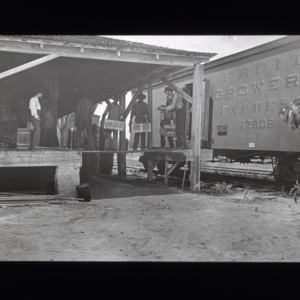 Loading fruit crates onto Fruit Growers Express train car, circa 1910