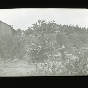 One boy pushing another boy and plants in a wheelbarrow, circa 1910